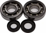 New Balls 24-1047 Crank Bearing And Seal Kit Kawasaki Kx 250 02-07. Fixed Price $71.89.