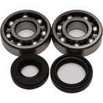 Balls Crankshaft Bearing/seal Kit 24-1008. Fixed Price $85.38.