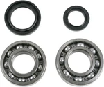 Moose Racing Crank Bearing And Seal Kit 0924-0001. Fixed Price $90.95.