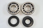 Suzuki RM250 1979-1980 PE250 1980-1981 RS250 Main Bearing Kit. Fixed Price $59.95.
