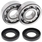 Balls Crank Shaft Bearing Kit 24-1040CL77. Fixed Price $64.65.