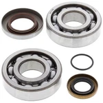 Bearing Kit Crankshaft Balls For Gas Ec Cc Manufactured 2003 - 2004. Fixed Price $122.13.