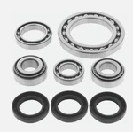 01-02 Arctic Cat 250 4X4 Quadboss Front Differential Bearing & Seal Kit 413398. Fixed Price $78.98.
