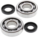 Moose Crankshaft Bearing And Seal Kit Kawasaki KX250/KDX250. Fixed Price $85.95.