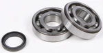 Pro X 23.CBS34005 Crankshaft Bearing And Seal Kit. Fixed Price $109.95.