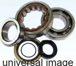 Balls Crankshaft Bearing Kit 138771 ABR24-1127. Fixed Price $73.89.