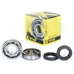 Pro X Crankshaft Bearing And Seal Kit For 1980-1985 Yamaha Yz 125 23.CBS22080. Fixed Price $34.99.