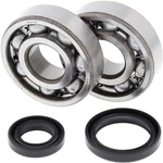 Balls Crank Shaft Bearing Kit 24-1016. Fixed Price $93.60.