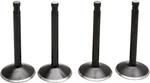Kibblewhite Black Diamond Valve Kit 20-22400 Harley Davidson. Fixed Price $109.84.