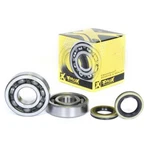Brg+seal Kit CRF150R, Prox 23.CBS12007 2007-2025, Crankshaft Bearing &. Fixed Price $167.37.