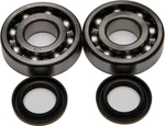 Balls 24-1045 Crankshaft Bearing/seal Kit. Fixed Price $91.45.