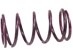 Comet 207888A, Purple Clutch Spring -. Fixed Price $16.25.