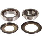 Steering Bearing Kit Honda, Pivot Works PWSSK-H19-000, GL1800 Gold Wing. Fixed Price $154.23.