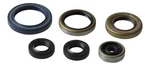 Athena Engine Oil Seal For Ktm Sx 85 17/14 Husqvarba Tc 03-16 P400270400013. Fixed Price $49.69.
