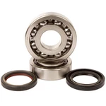 Hot Rods Main Bearing And Seal Kit K063. Fixed Price $111.10.