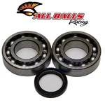 Balls Crank Bearing And Seal Kit For 2004-2006 Suzuki RM-Z250 Engine Aj. Fixed Price $59.80.
