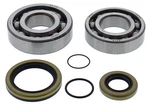 Balls Racing Crank Shaft Bearing Kit For Gas EC300 2008-2015. Fixed Price $90.99.