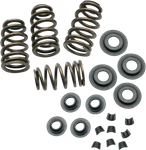 S&s Cycle Valve Spring Kit 0.650 Sidewinder Twin Cam 99-04 Xl 86-03. Fixed Price $249.65.