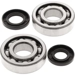 Balls 24-1011 Crank Bearing And Seal Kit. Fixed Price $111.27.