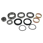 2004-2006 Arctic Cat Zr 900 Lower Shaft Balls Drive Bearing & Seal Kit. Fixed Price $112.65.