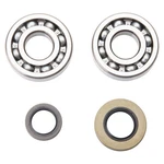 Pro X Crankshaft Main Bearing And Seal Kit For Suzuki RM250 2003-2004. Fixed Price $72.99.