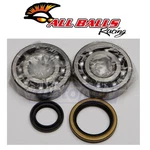 Balls Crank Bearing And Seal Kit For 1995-1998 Suzuki RMX250 Engine. Fixed Price $98.57.