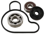 Hot Rods Water Pump Rebuild Kit WPK0057. Fixed Price $51.99.