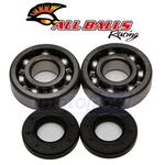 Balls Crank Bearing And Seal Kit For 1995-2019 Kawasaki KX100 Engine Op. Fixed Price $63.05.