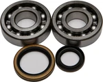 Balls Crankshaft Bearing/seal Kit 24-1021. Fixed Price $104.95.