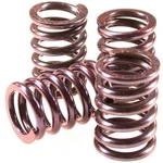 Barnett 501-58-06045 Clutch Spring Kit Set 1131-0646. Fixed Price $33.74.