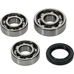 Hot Rods 2009-2020 Rzr 170 Polaris Counter Balancer Bearing Kit HR00165. Fixed Price $87.95.