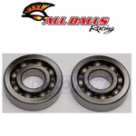 Balls Crank Bearing And Seal Kit For 1995-2002 Honda XR200R Engine Tl. Fixed Price $67.31.