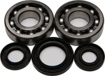 Balls 24-1028 Crankshaft Bearing And Seal Kit. Fixed Price $95.76.