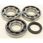 Balls Crankshaft Bearing Kit 24-1089. Fixed Price $70.62.