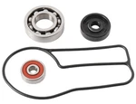 Hot Rods Water Pump Bearing & Seal Kit (WPK0049). Fixed Price $38.14.
