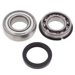 Yamaha Phazer 500, 2007, Bearing & Seal Kit -. Fixed Price $33.33.