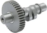 Andrews B2 Camshaft #212358 Harley Davidson. Fixed Price $218.48.
