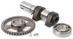 Hot 5046-1E Stage Exhaust Camshaft. Fixed Price $352.76.