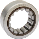 Eastern Right Pinion Shaft Bearing Natural Harley Twin Cam 99-02 A-24623-99B. Fixed Price $70.99.