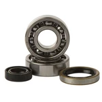 2013-2014 Ktm 50 Sx Dirt Bike Hot Rods Main Bearing And Seal Kit. Fixed Price $51.22.
