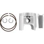 Wiseco - Powersports Piston JS300 /650 3051TD 549M07750. Fixed Price $199.95.
