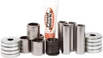 Pivot Works A-arm Bearing Kit PWAAK-S05-522L. Fixed Price $122.28.