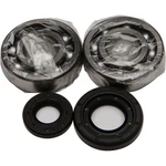 Balls Crankshaft Bearing/seal Kit 24-1029. Fixed Price $92.67.