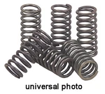Ebc Brakes CSK156 Clutch Spring Kit. Fixed Price $22.69.
