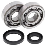 Balls Crank Shaft Bearings 24-1014 Suzuki RM80 89-01, RM85 02-23 Ships Today. Fixed Price $78.62.