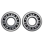 Balls Crank Bearing And Seal Kit For 1985 Kawasaki KLT160 Atv. Fixed Price $59.07.