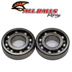 Balls Crank Bearing And Seal Kit For 1987-2003 Kawasaki KSF250 Mojave Bn. Fixed Price $74.15.