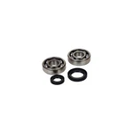 Hot Rods Crank Bearings And Seals Kit K064. Fixed Price $82.14.