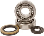 Hot Rods Main Bearing/seal Kit K230. Fixed Price $97.80.