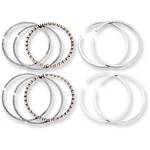 Hastings Piston Rings - Twin Cam 2M4941010. Fixed Price $61.26.
